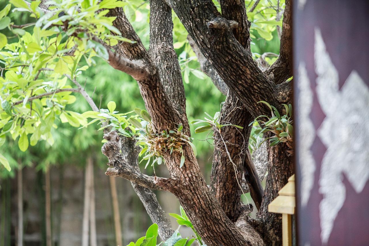 Singha Montra Lanna Boutique Style Hotel Τσιάνγκ Μάι Εξωτερικό φωτογραφία